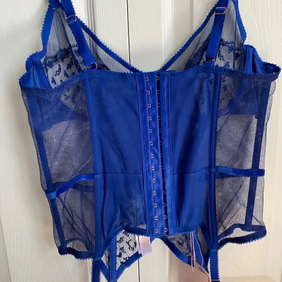 BNWOTSavageXFenty blue corset with sheer panels - Picture 4 of 9